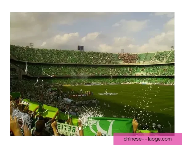 2026年3月德甲不莱梅球场启建德国最大光伏阵列推动绿色足球能源革命