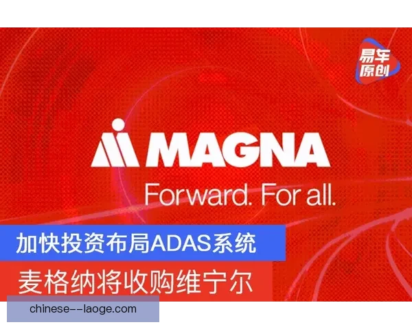 维尼修斯荣膺西甲赛季最佳球员展现非凡实力